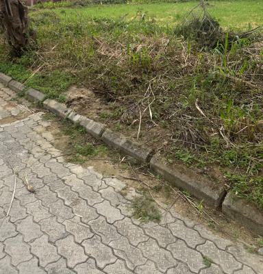 Plots of Land, Cooperative Villa Estate, Badore, Ajah, Lagos, Residential Land for Sale