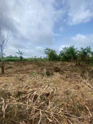 2 Plots of Land, Leading Edge Nursery &pry, Ibule, Akure, Ondo, Land for Sale