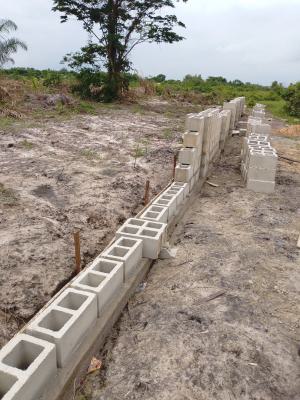Premium Land with Government Approved Gazette, Okeogun, Ibeju Lekki, Lagos, Land for Sale