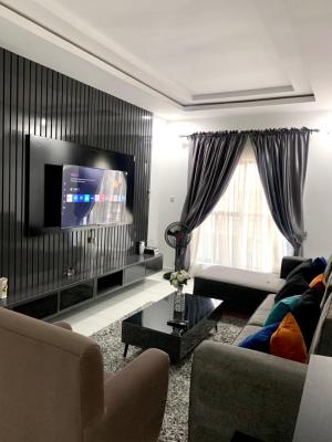Luxury 2 Bedroom Fully Furnished, 24 Hours Power Backed Up Inverter Et, Oral Estate, Lekki, Lagos, Flat / Apartment for Rent