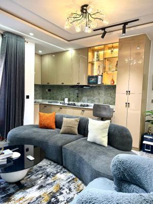 a Brand New Cozy, and Beautiful One Bedroom Well Furnished Apartment I, Lekki Phase 1, Lekki, Lagos, Flat / Apartment Short Let