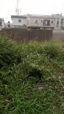 Massive Quarter Plot of Land with C of O, Meiran, Agege, Lagos, Residential Land for Sale