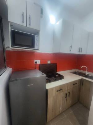 1 Bedroom Flat, Osapa London, Lekki, Lagos, Mini Flat (room and Parlour) for Rent