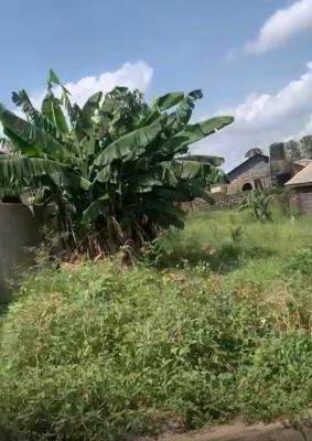 One Plot of Land 60/120, Ibafo Ogun State, Asese, Ibafo, Ogun, Mixed-use Land for Sale