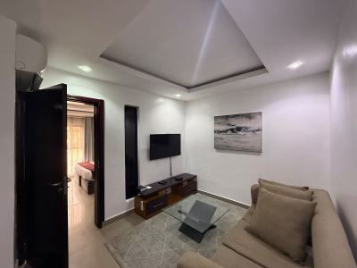 1 Bedroom Apartment, Victoria Island (vi), Lagos, Mini Flat (room and Parlour) for Rent