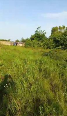 6 Plots of Total Dry Land with C of O, Abule Folly, Ibeju Lekki, Lagos, Mixed-use Land for Sale