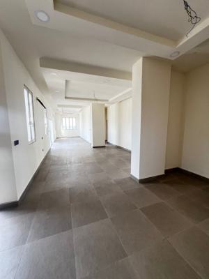 2 and 3 Apartment with Bq, Gym, Pool,elevator, Victoria Island (vi), Lagos, Flat / Apartment for Rent