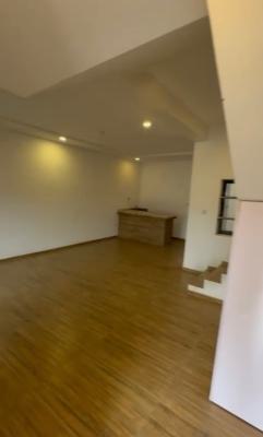 Clean Luxury 4 Bedry Terrace Duplex with Bq(office/residential), Wuye By Shafa, Wuye, Abuja, Terraced Duplex for Rent