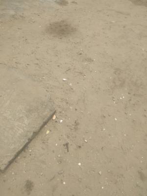 Juicy  Bare Plot  1370 Square Meters, Bera Estate By Chevron, Lekki, Lagos, Residential Land for Sale