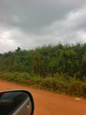270 Acre Industrial Land, Ode Remo, Ode Lemo, Sagamu, Ogun, Industrial Land for Sale