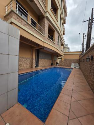 Fully Furnished 1bedroom Flat, Off Palace Road, Oniru, Victoria Island (vi), Lagos, Mini Flat (room and Parlour) for Sale