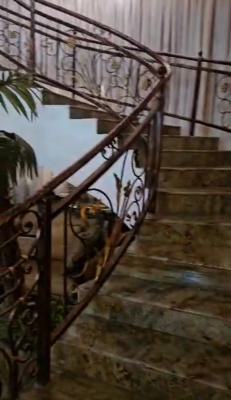 Well Maintained 6-bedroom Detached House with Swimming Pool on One Sto, Off Bourdillon Road, Old Ikoyi, Ikoyi, Lagos, Detached Duplex for Sale