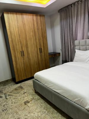 Luxury, Furnished and Serviced One Bedroom Apartment with Aedc Payment, Akintola Boulevard, Garki, Abuja, Mini Flat (room and Parlour) for Rent
