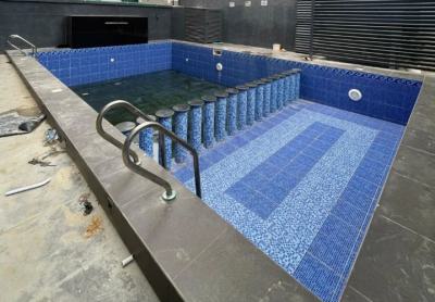 Spacious 2bedrooms Apartment with Pool, Etc., Ikate, Lekki, Lagos, Flat / Apartment for Rent