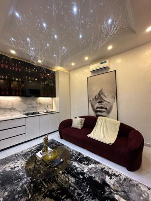 Luxurious 1bedroom Apartment with Bathub, Lekki, Lagos, Mini Flat (room and Parlour) Short Let