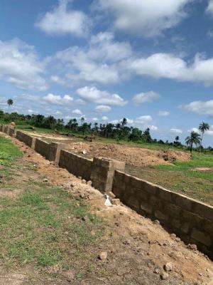 Best and Affordable Estate in Asaba, Onitsha Head Bridge, Koka Flyover, Oko Market, Asaba Airport, Asaba, Delta, Mixed-use Land for Sale