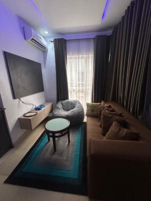 Spacious Fully Furnished/serviced 1 Bedroom Flat in a Serene Environs, Lekki Phase 1, Lekki, Lagos, Mini Flat (room and Parlour) for Rent