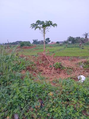 Residential Hectare of Land, Epe, Lagos, Land for Sale