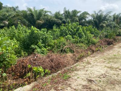 Super and Fast Return on Investment 1700sqm with Governors Consent, Ajayi Apata Estate Beside Fara Park, Sangotedo, Ajah, Lagos, Land for Sale