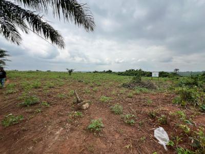 Over 100 Acres of Fertile Farmland Good for Cassava, Tomatoes, Cashew, Ewekoro, Ogun, Mixed-use Land for Sale