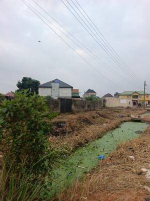 17 Acre Industrial Land, Ishara, Ado-odo/ota, Ogun, Industrial Land for Sale
