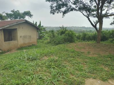 10 Acres of Land in a Serene Environment for Mixed Uses, Old Sagamu Road at Sotubo Lga at The Back of Lafarge Cement Factory, Sotubo, Sagamu, Ogun, Mixed-use Land for Sale