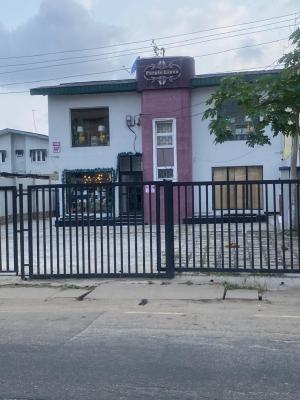 Very Nice Four Bedroom Duplex with Bq Suitable for Commercial Purpose, Gra, Ogudu, Lagos, Detached Duplex for Rent