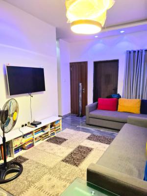 Stylist Small Room in a Beautiful House in Urban Prime 2 Estate, Urban Prime 2, Ogombo, Ajah, Lagos, Semi-detached Duplex for Rent