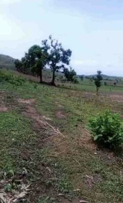 a Standard, Outright Land, Cadastral Zone, Wasa, Apo, Abuja, Mixed-use Land for Sale