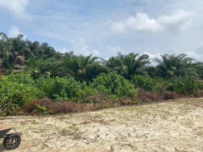 1700sqm Well Positioned Governors Consent Plot of, Sangotedo, Ajah, Lagos, Land for Sale