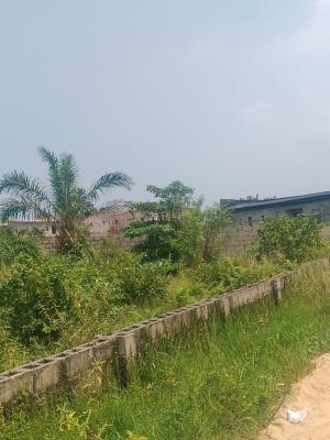 Well Development 100 Plot, Majerk Bus Stop Abijo, Abijo, Lekki, Lagos, Mixed-use Land for Sale