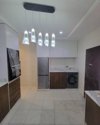 Newly Built and Serviced 1 Bedroom Flat with Fully Fitted Kitchen, Coo, Ikoyi, Lagos, Mini Flat (room and Parlour) for Rent