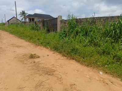 One Acre and a Plot of Land(7plots) with Cofo at Ishefun, Ishefun, Ayobo, Lagos, Mixed-use Land for Sale