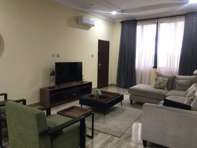 Luxuriously Finished & Fully Furnished 2 Bedrooms Flat with a Bq, Guzape District, Abuja, Flat / Apartment for Rent