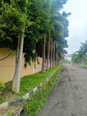 2 Units of Luxury 5 Bedroom Duplex, Asokoro District, Abuja, Detached Duplex for Rent