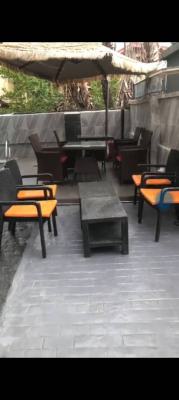 Renovated and Furnished 8 Nos of 2 Bedroom, Adeniyi Jones, Ikeja, Lagos, House for Rent