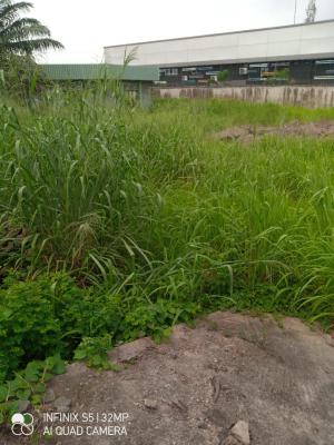 Dry , Table,bare Land, Maverick Estate Close to Nissan, Gbagada Phase 2, Gbagada, Lagos, Land for Sale