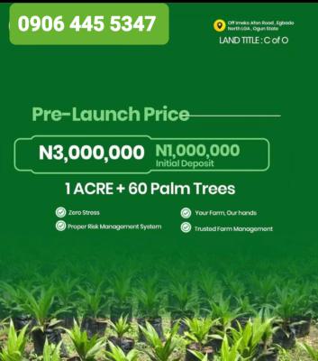 C of O Acres of Oil Palm Trees Farmlands, Igan Okoto, Olorunda, Yewa North, Ogun, Land for Sale