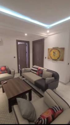Fully Furnished and Serviced One Bedroom Apartment., Katampe Main, Katampe, Abuja, Mini Flat (room and Parlour) for Rent