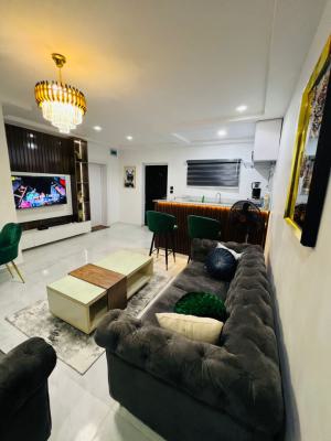 Furnished Room and Parlor with Pool Fully Serviced, Ikate, Lekki, Lagos, Mini Flat (room and Parlour) for Rent