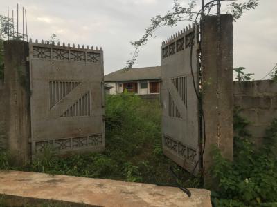 a Full Plot of Land, Via Arepo, Ojodu Berger, Ojodu, Lagos, Land for Sale
