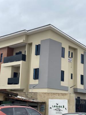 an Exquisitely Designed Newly Modern 2 Bedroom Apartment, Gbagada, Lagos, Flat / Apartment for Rent
