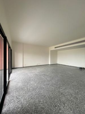 Luxury 4-bedroom Apartment with Bq, Banana Island, Ikoyi, Lagos, Flat / Apartment for Rent