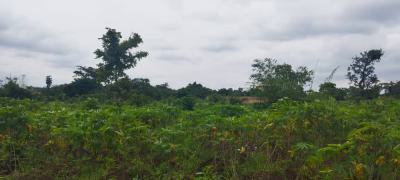 Land, Emene, Enugu, Enugu, Mixed-use Land for Sale