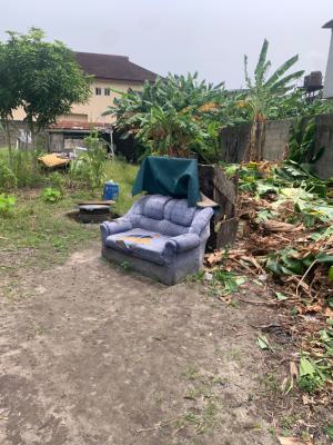 Corner Piece Fenced and Dry Land in a Serene Environment, Mobil Road, Ilaje, Ajah, Lagos, Land for Sale