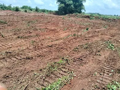 Buy & Build Land with Registered Survey - Instant Allocation — Abeokuta North, Ogun