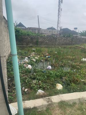 Good and Beautiful Dry Land in a Very Secure Estate, Sangotedo, Ajah, Lagos, Land for Sale