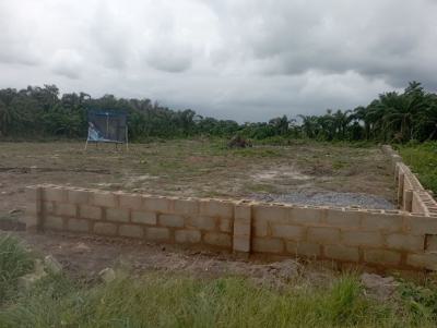 Own Verified Land with C of O in The Heart of Drip City, Ibeju-lekki, Okun Imosan, Ibeju Lekki, Lagos, Ibeju Lekki, Lagos, Land for Sale