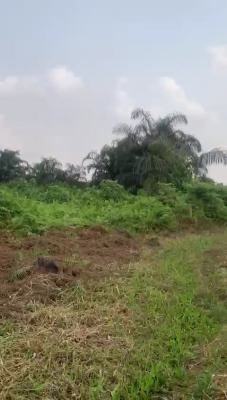 Standard Full Plot with Registered Survey, Lasu-igando Road, Igando, Ikotun, Lagos, Residential Land for Sale