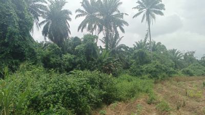Measuring 5 Acres of Land, Igbooye Ilara, Epe, Lagos, Mixed-use Land for Sale